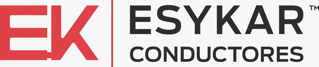 ADS-ESYKAR CAPACITACIONES 2025